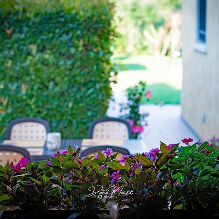 Agriturismo Olistella 帕拉佐罗德罗斯泰尔 外观 照片