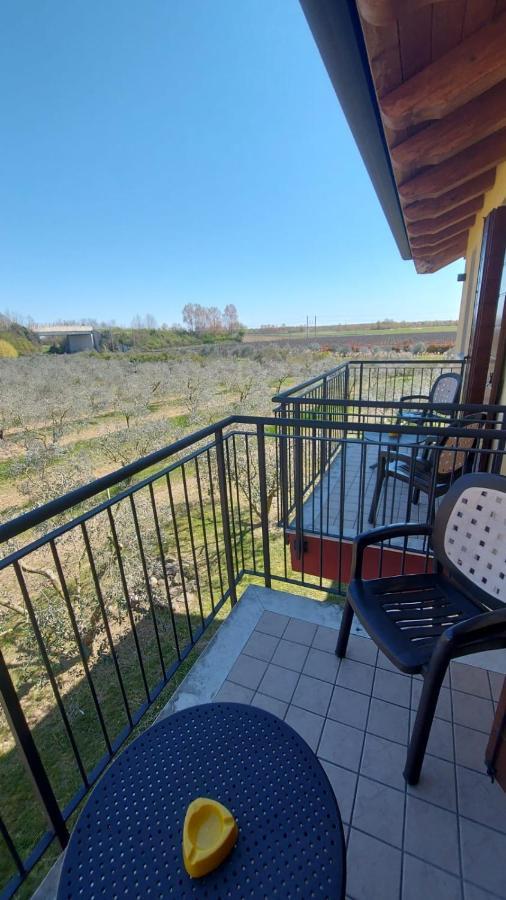 Agriturismo Olistella 帕拉佐罗德罗斯泰尔 外观 照片